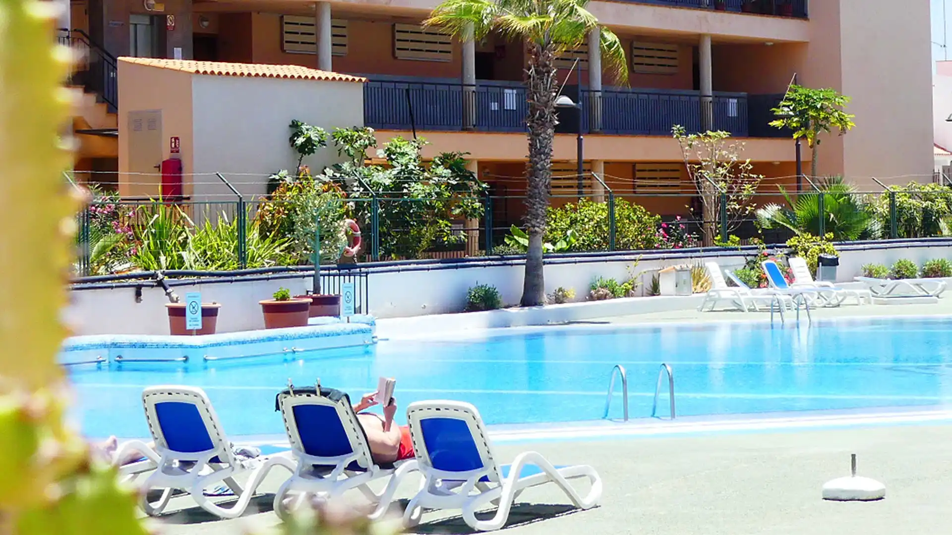 los cristianos appartamenti in affitto lungo termine